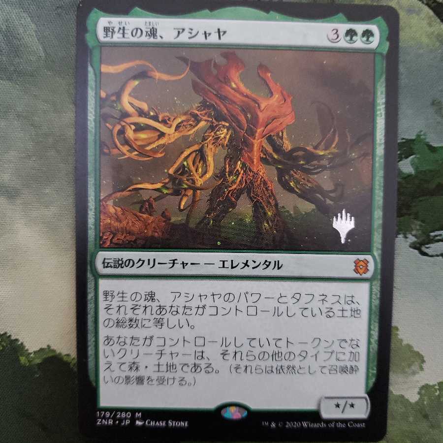 野生の魂、アシャヤ【日本語】【ZNR】