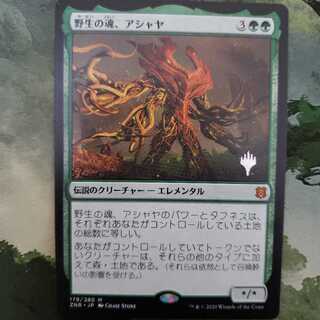 Ashaya, Soul of the Wild [Japanese] [ZNR].