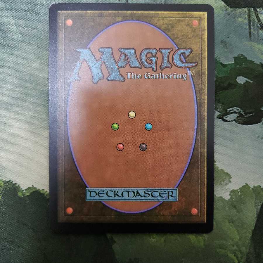 野生の魂、アシャヤ【日本語】【ZNR】