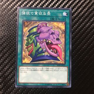 強欲で貪欲な壺 ノーマル