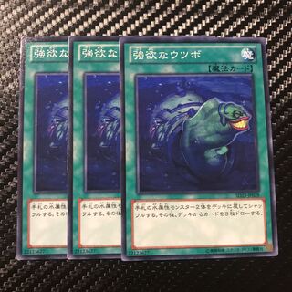 強欲なウツボ ノーマル