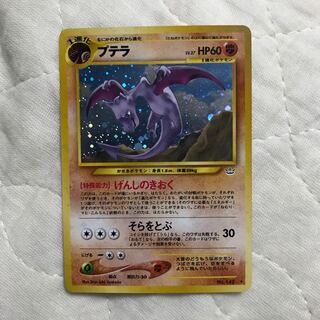 プテラセット[専用]