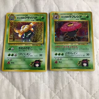 エリカのラフレシア 進化セット