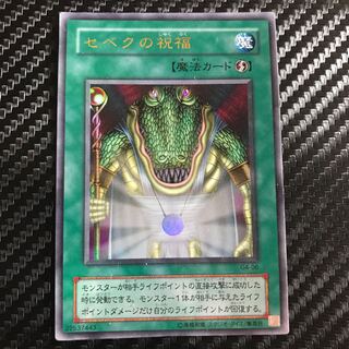 セベクの祝福 ウルトラレア