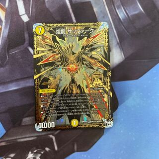 煌龍 サッヴァーク SE