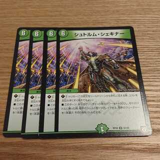 シュトルム・シェキナー