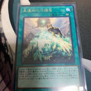 星遺物の守護竜