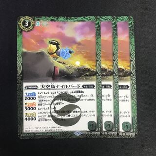 天空鳥ナイルバード 1枚