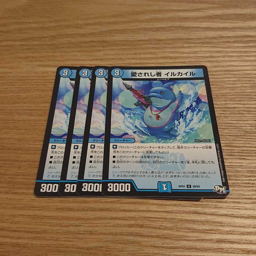 愛されし者 イルカイル