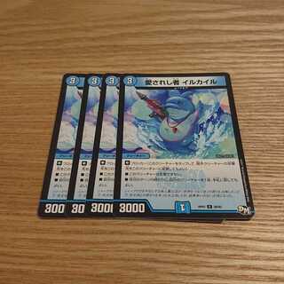 愛されし者 イルカイル