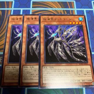 揺海魚デッドリーフ