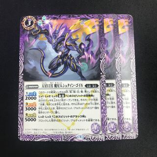 Twelve Palaces of the Heavenly Star: Stein Goel the Magician 1枚