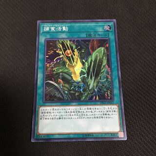 「娯楽亭」遊戯王 捕食活動