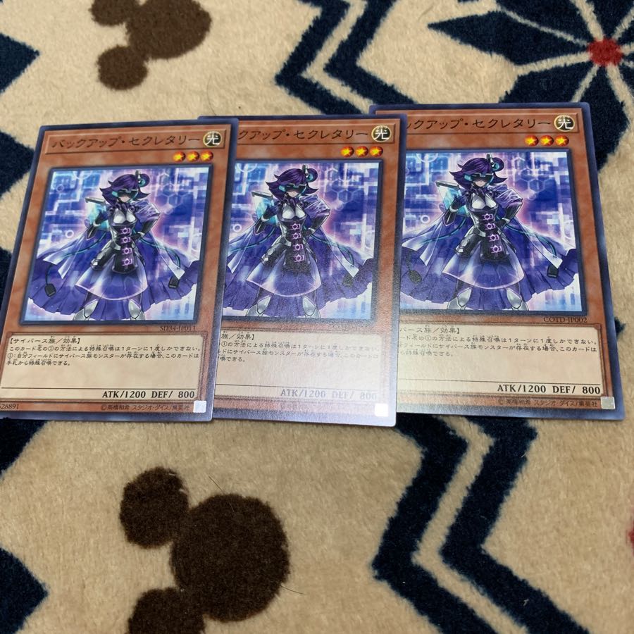 バックアップセクレタリー