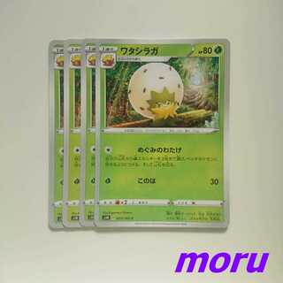 ワタシラガ 4枚 めぐみのわたげ シールド