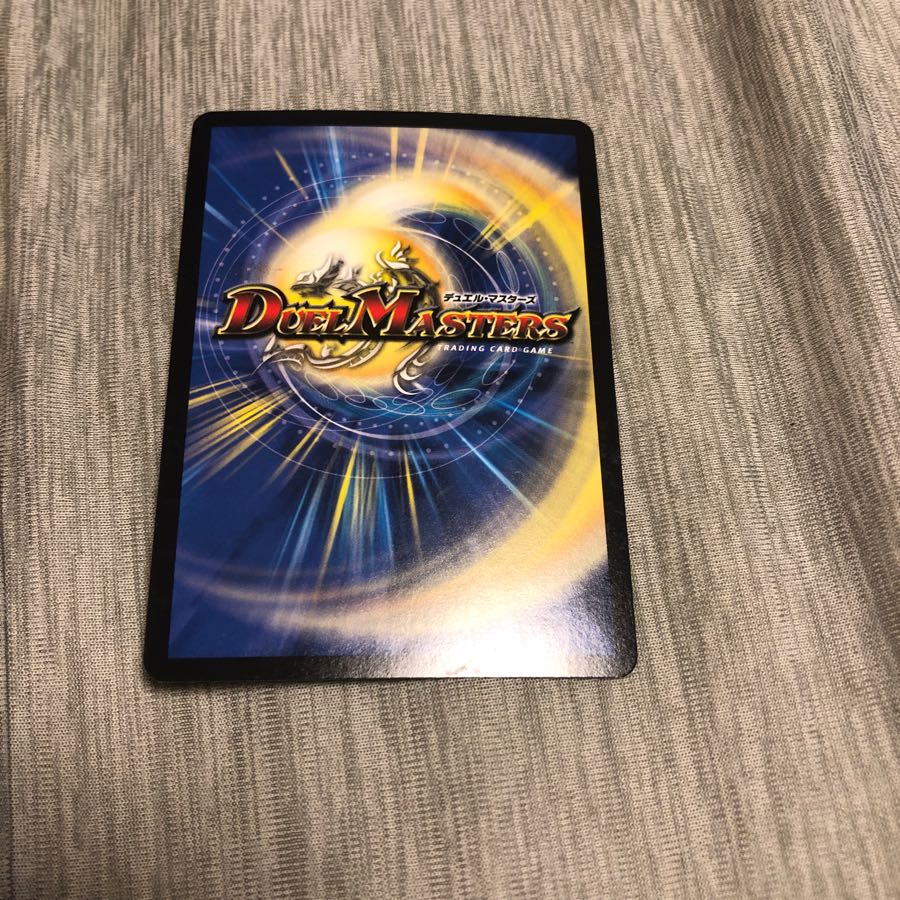 煌メク聖壁 灰瞳