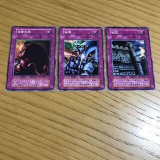 自業自得　援軍　城壁　3枚セット