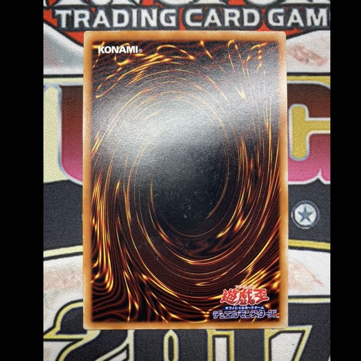 【Bosatsu 様専用】真紅眼の黒竜 レリーフ