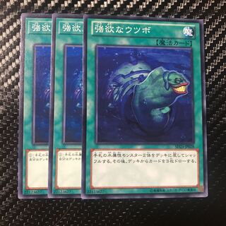 強欲なウツボ ノーマル