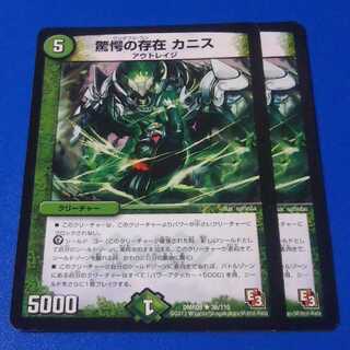 カニス　2枚【管理記号k】