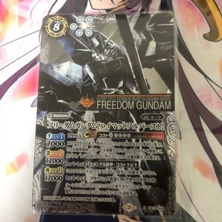フリーダムガンダム　プロヴィテンス 1枚
