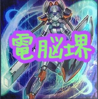 【メイン40枚+EX15枚】電脳堺　デッキ 娘々鷲々兎々