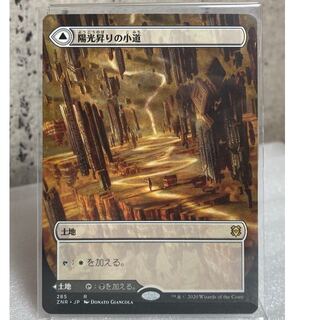 MTG  陽光昇りの小道/恐怖昇りの小道　拡張アート　日本語