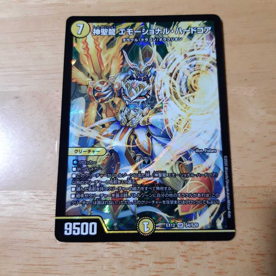 神聖龍 エモーショナル・ハードコア