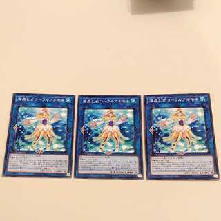 海晶乙女コーラルアネモネ