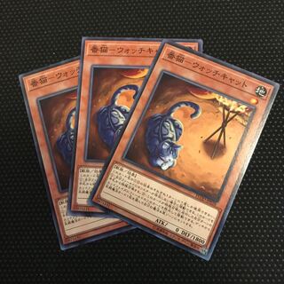 番猫-ウォッチキャット