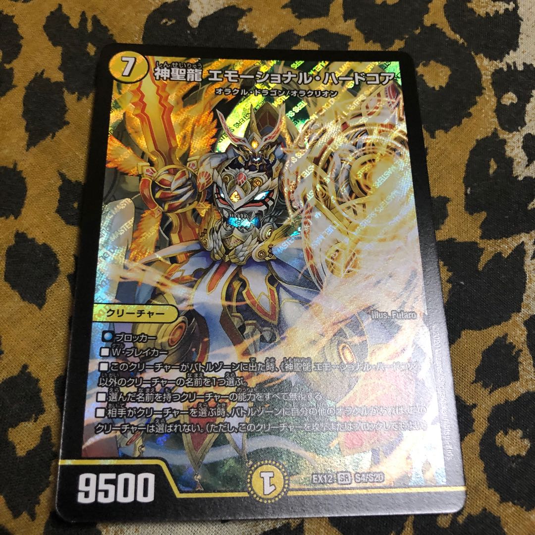 神聖龍 エモーショナル・ハードコア