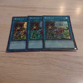 隣の芝刈り スーパーレア 3枚