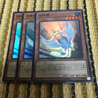 マドレース ホワイト・スティングレイ スーパーレア