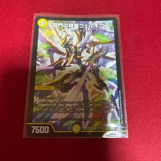 闘門の精霊ウェルキウス