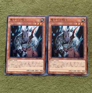魔サイの戦士 ノーマル2枚