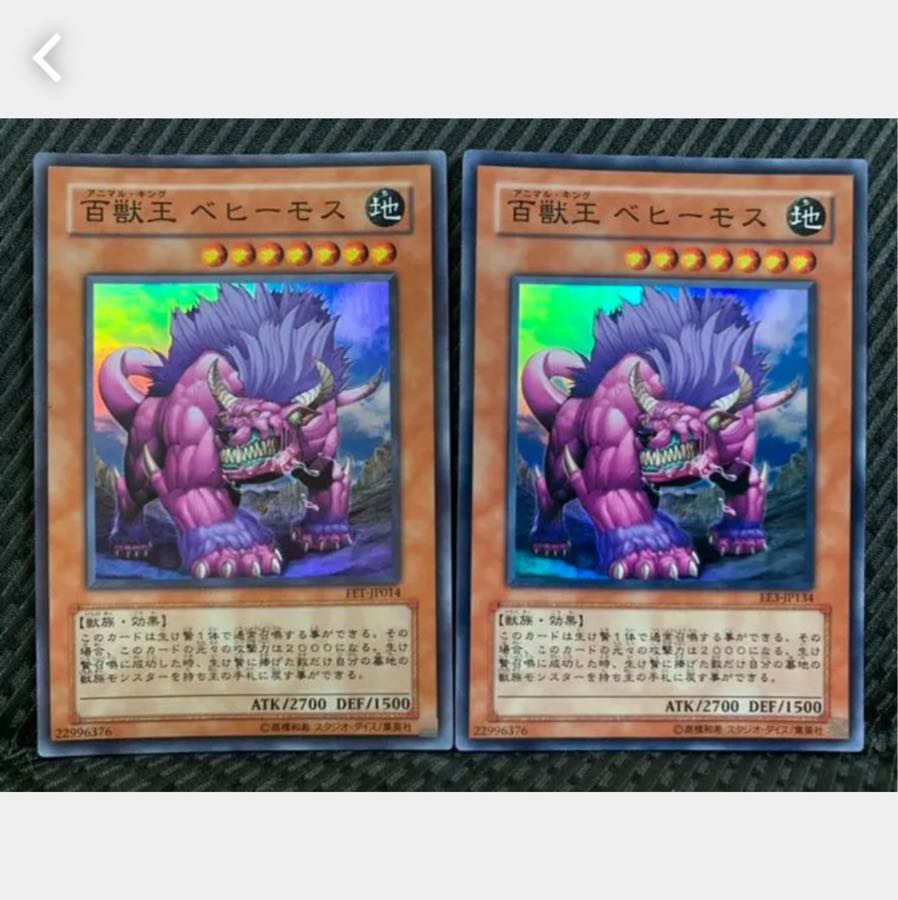 【ぽぽたん】遊戯王 1396 百獣王 ベヒーモス 2枚 スーパー