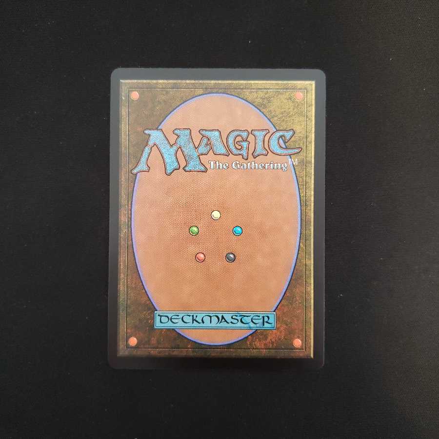 レンと六番　1枚