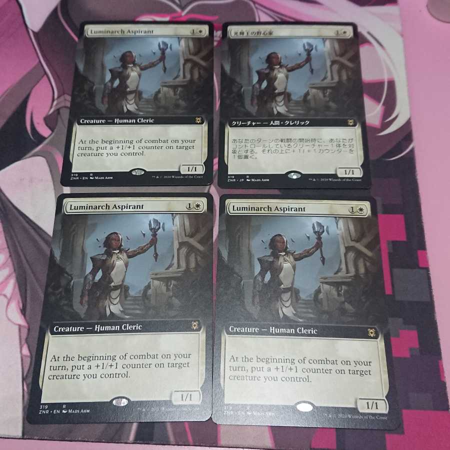 拡張 光輝王の野心家 4枚