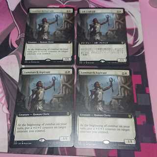 拡張 光輝王の野心家 4枚