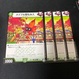 メイプル超もみ人