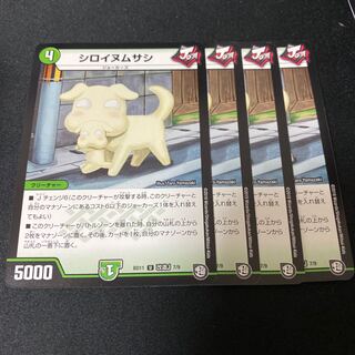 シロイヌムサシ