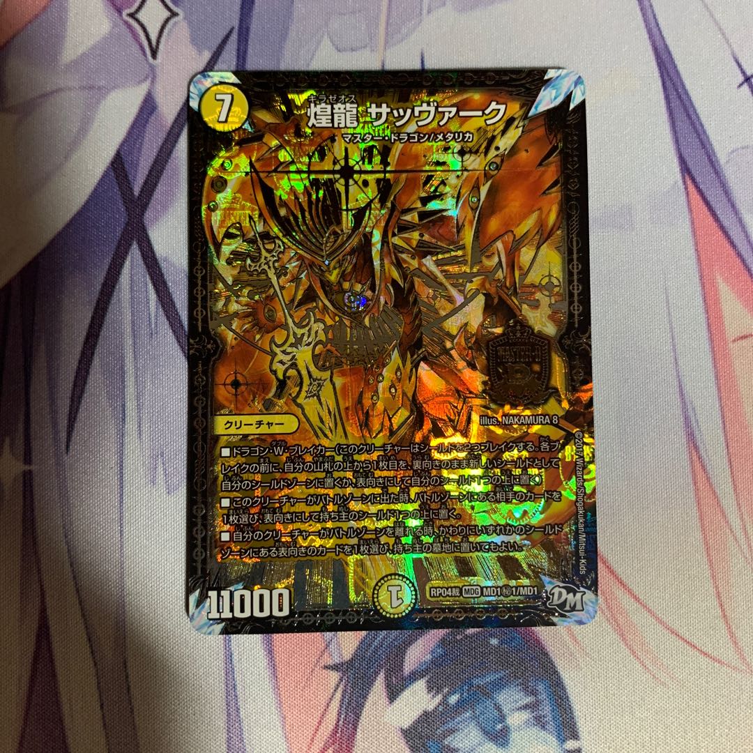 煌龍 サッヴァーク