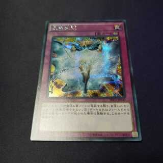 虚無空間 シークレットレア 日焼け