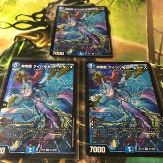 海姫龍 ライベルモット・ビターズ　3枚セット