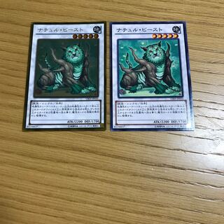 ナチュル・ビースト　2枚セット