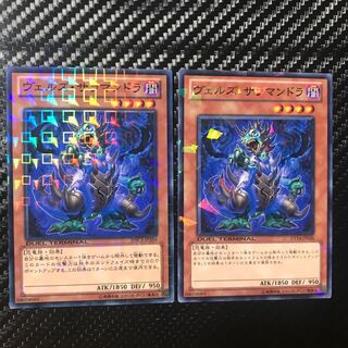 Evilswarm Salamandra