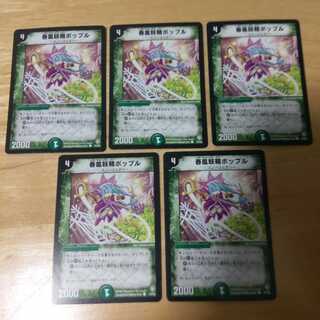 Popple, Flowerpetal Dancer C