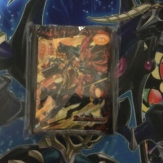 15th Anniversary Exhibition Golden the Johnny Sleeve