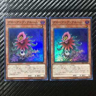 グローアップ・ブルーム スーパーレア