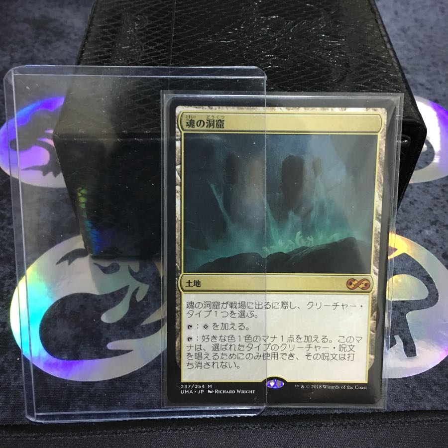 魂の洞窟 日本語版美品